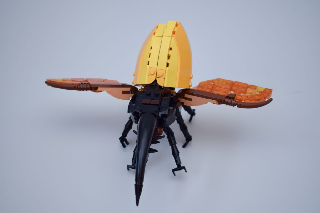 LEGO Ideas 21342 The Insects Collection Review 37 1024x683